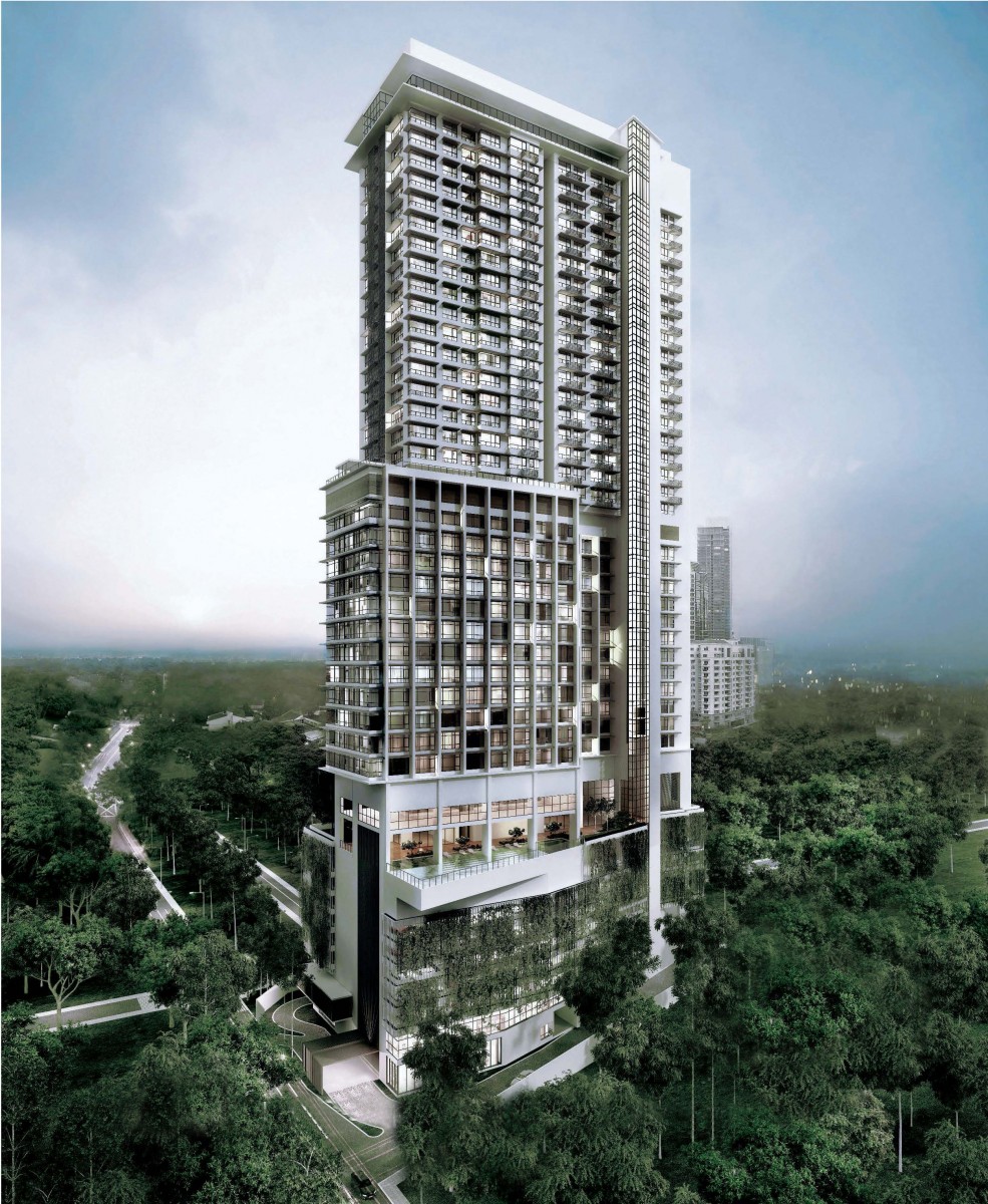 Portfolio Image